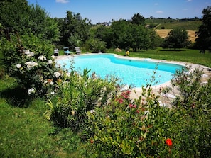 A swimming pool surrounded by lush greenery and a vineyard in the background.