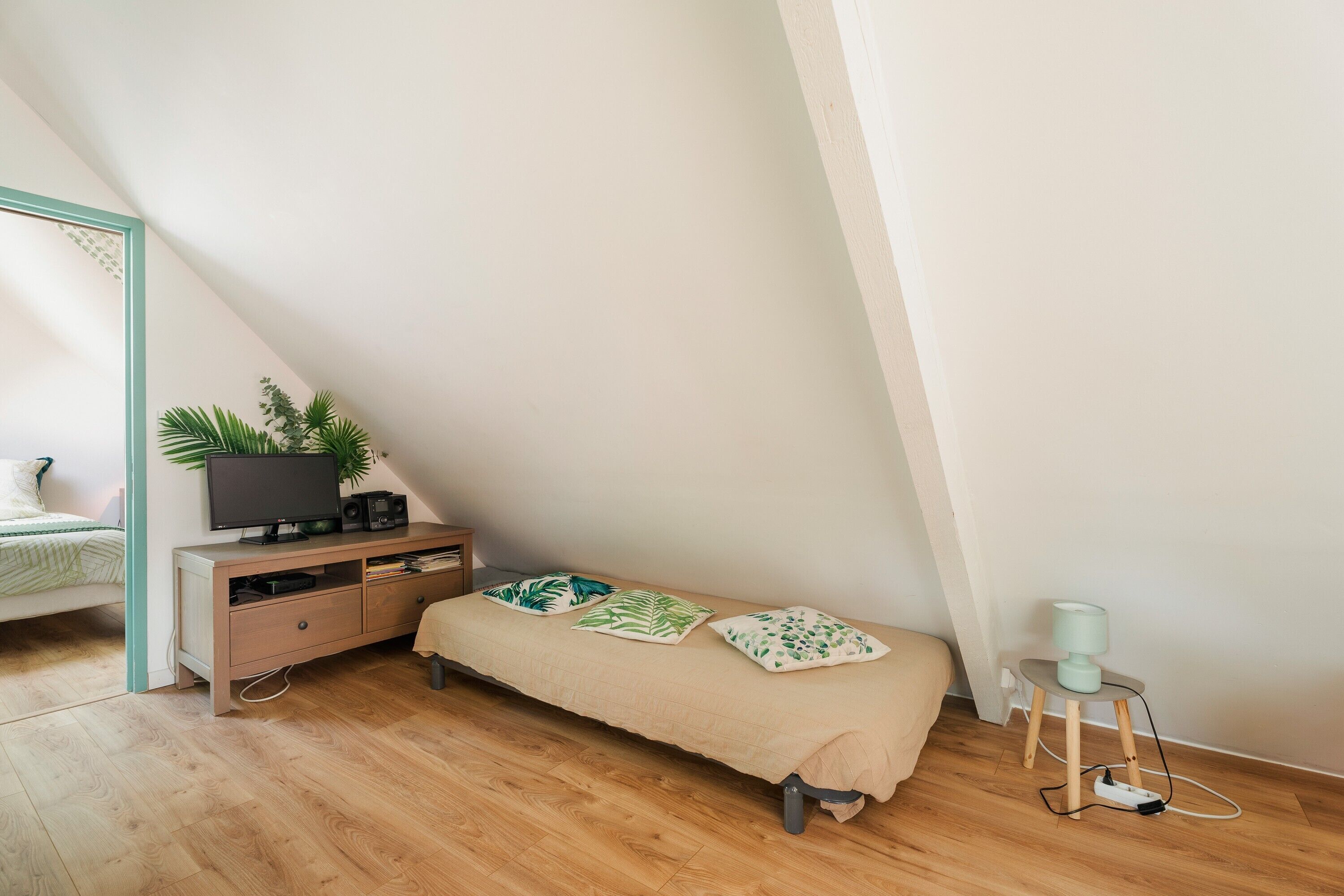 A bedroom with a bed, a bedside table with a lamp, a TV, and a plant.