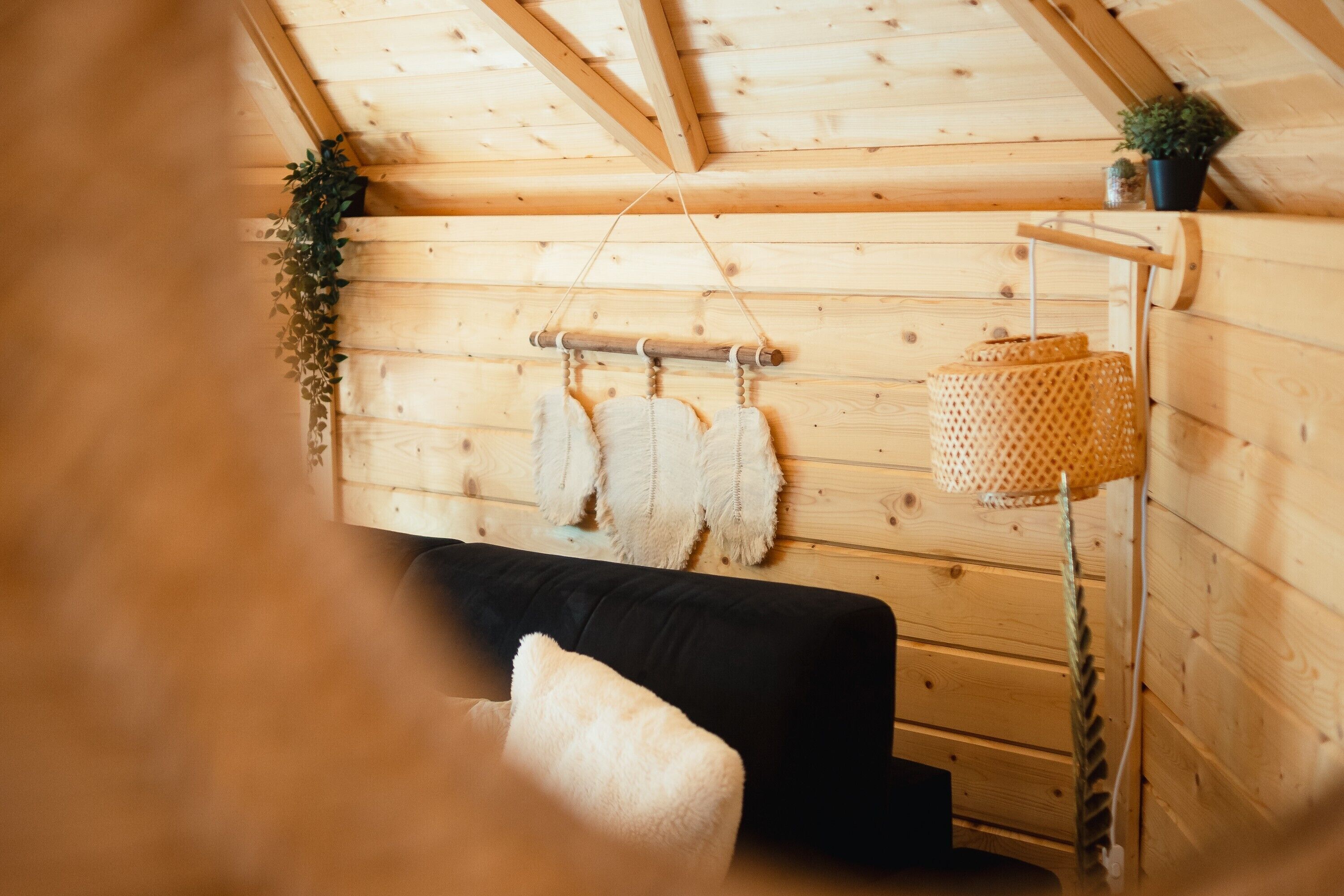 L’intérieur d’un chalet en bois, avec un lit, une plante suspendue et un panier tressé.