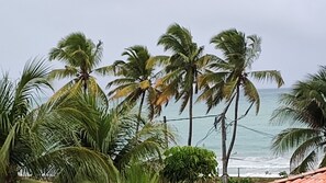A beach with palm trees and a view of the ocean.
