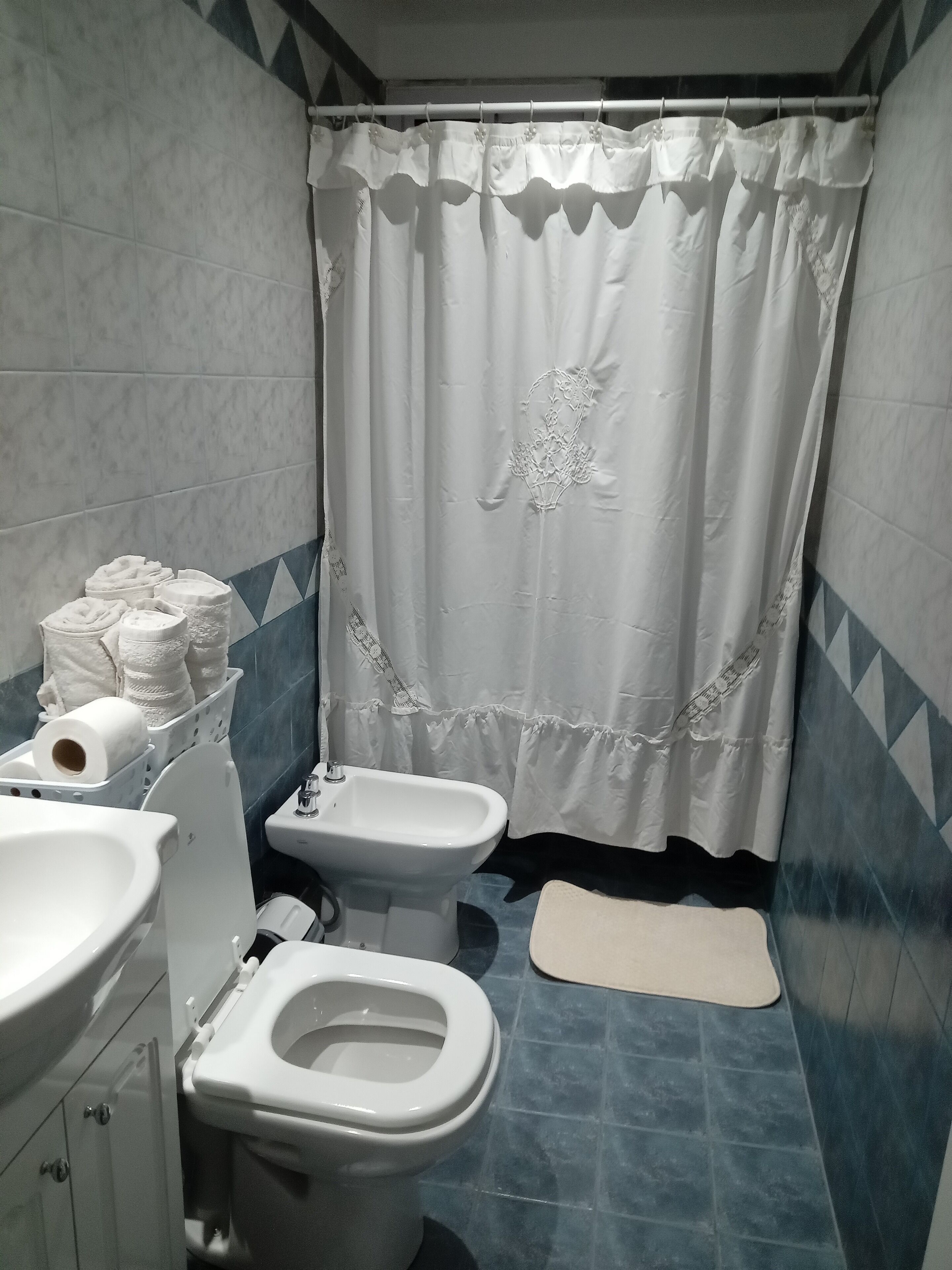 Ducha, secador de pelo, bidé y toallas