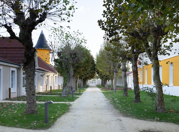 Terrain de l’hébergement 