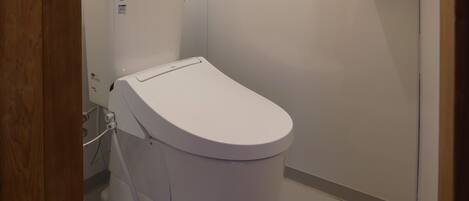 A modern bathroom with a white toilet, a water heater, and a toilet paper holder.