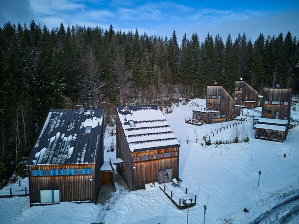 Exterior - Sunny Mountain Escape & Pets by Interhome (Harrachov)