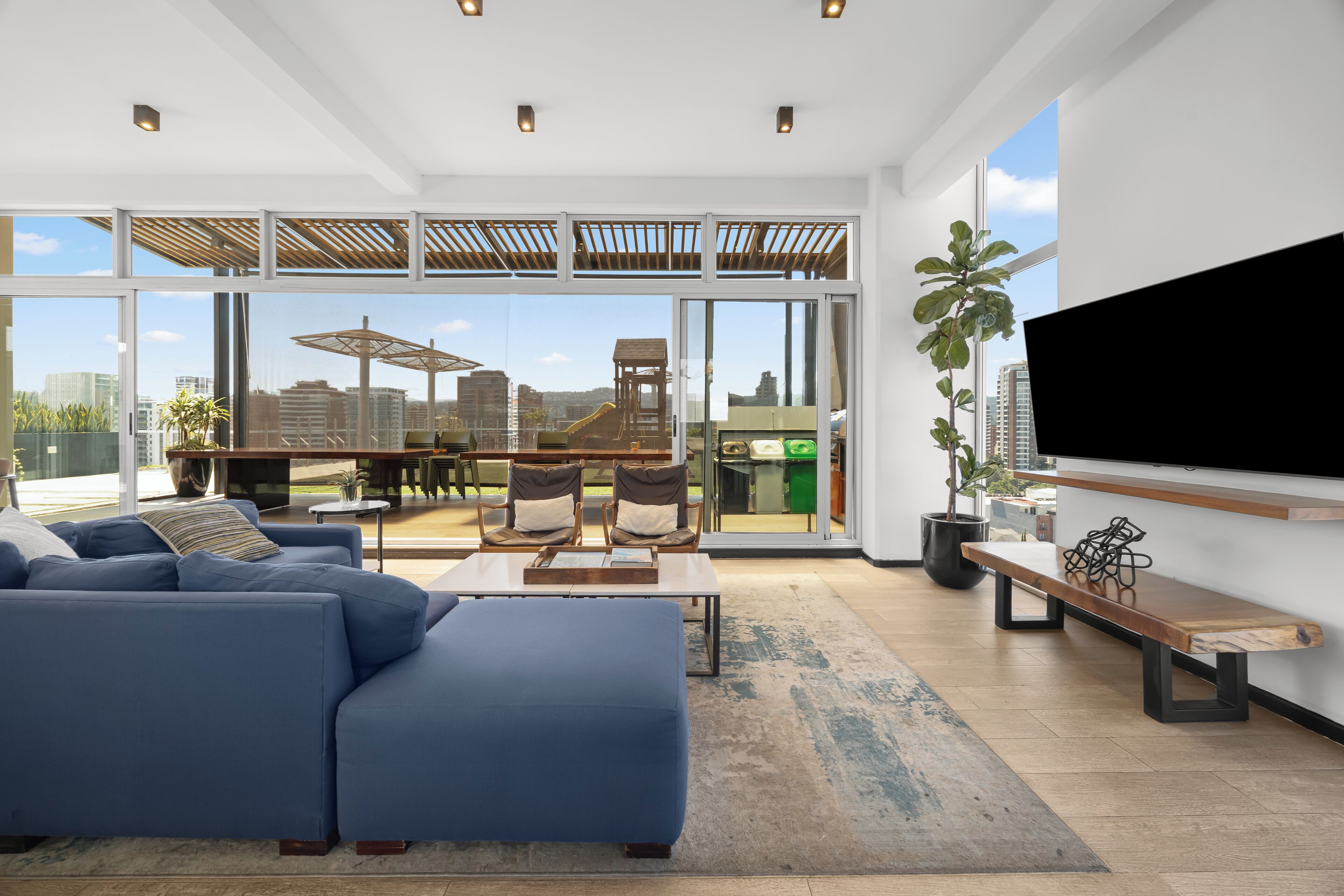 TV, books, computer monitors