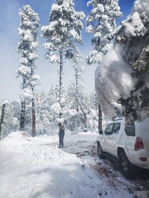 Área da propriedade