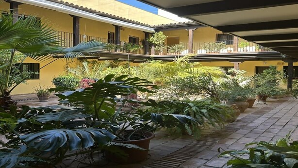 A covered courtyard with potted plants and a yellow building. - Infantes Street, Center of Seville (Sevilla)
