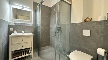 Shower, hair dryer, towels