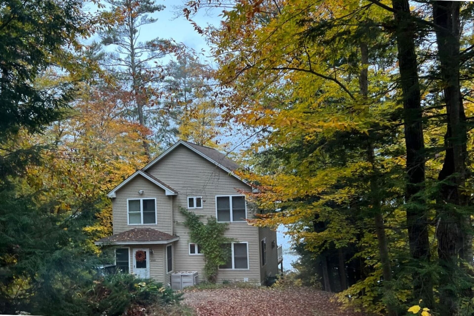 Eksteriør