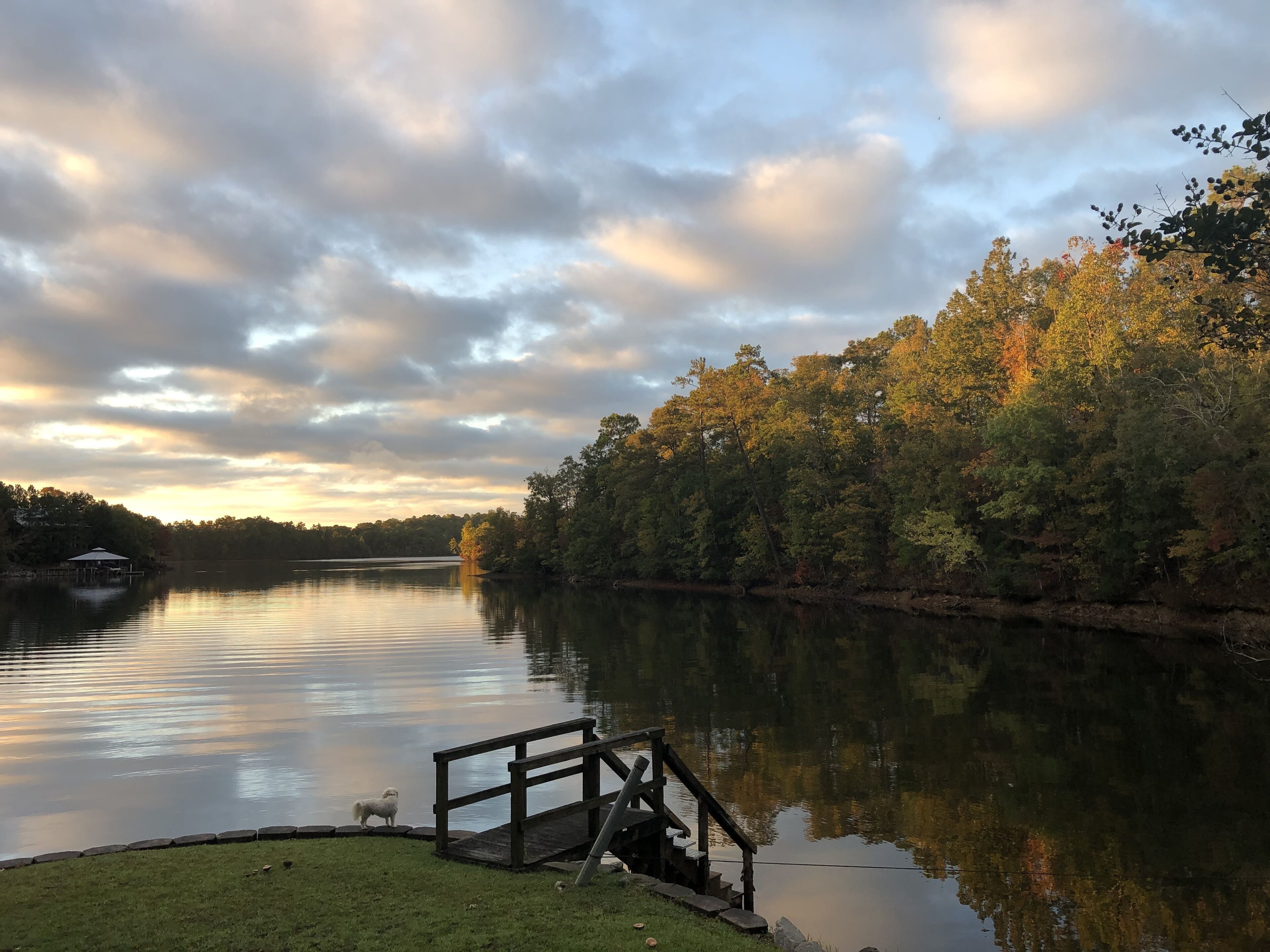 Tower View: A Lakeside Haven