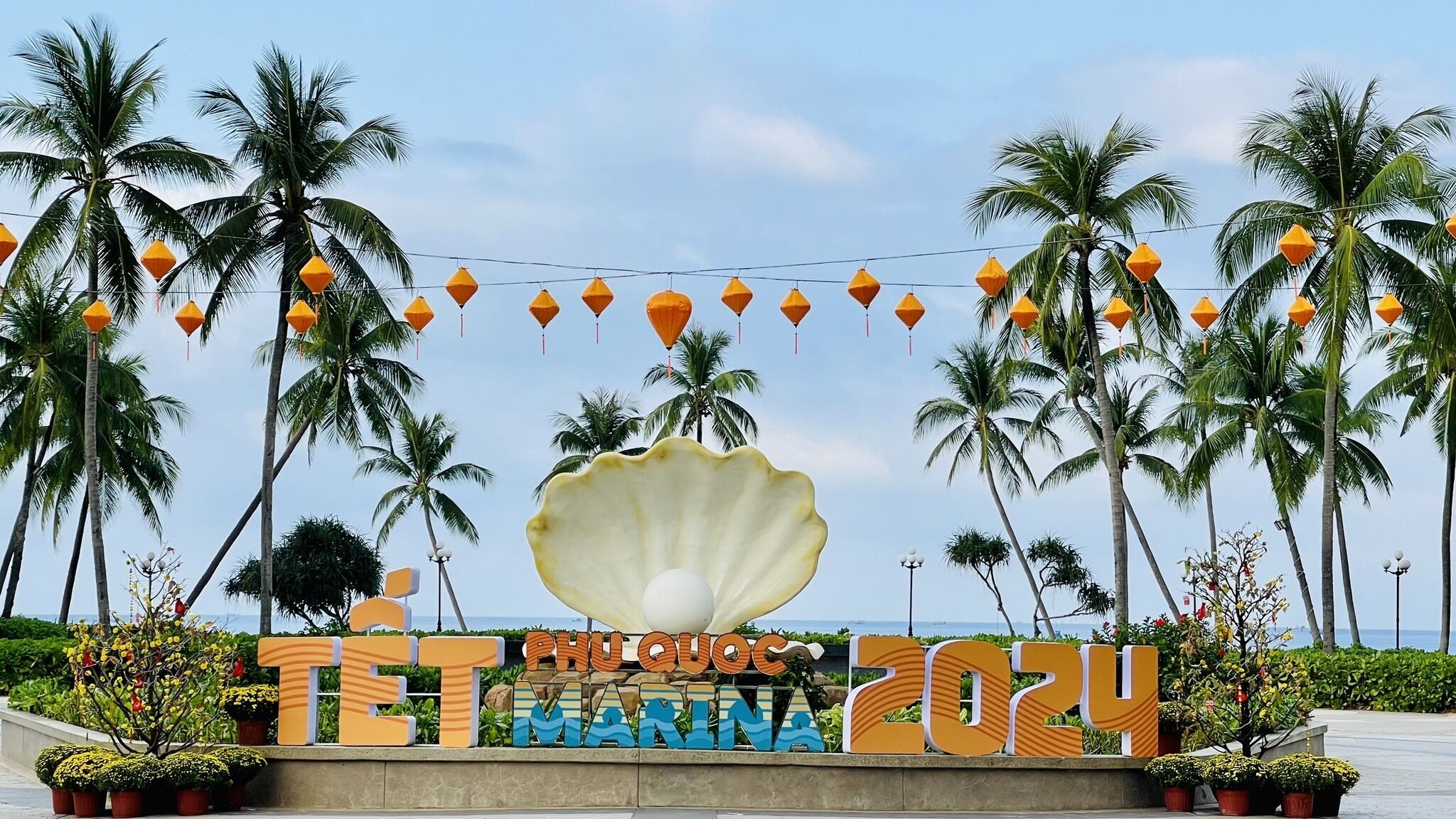Plage, chaises longues, parasols, 4 bars de plage