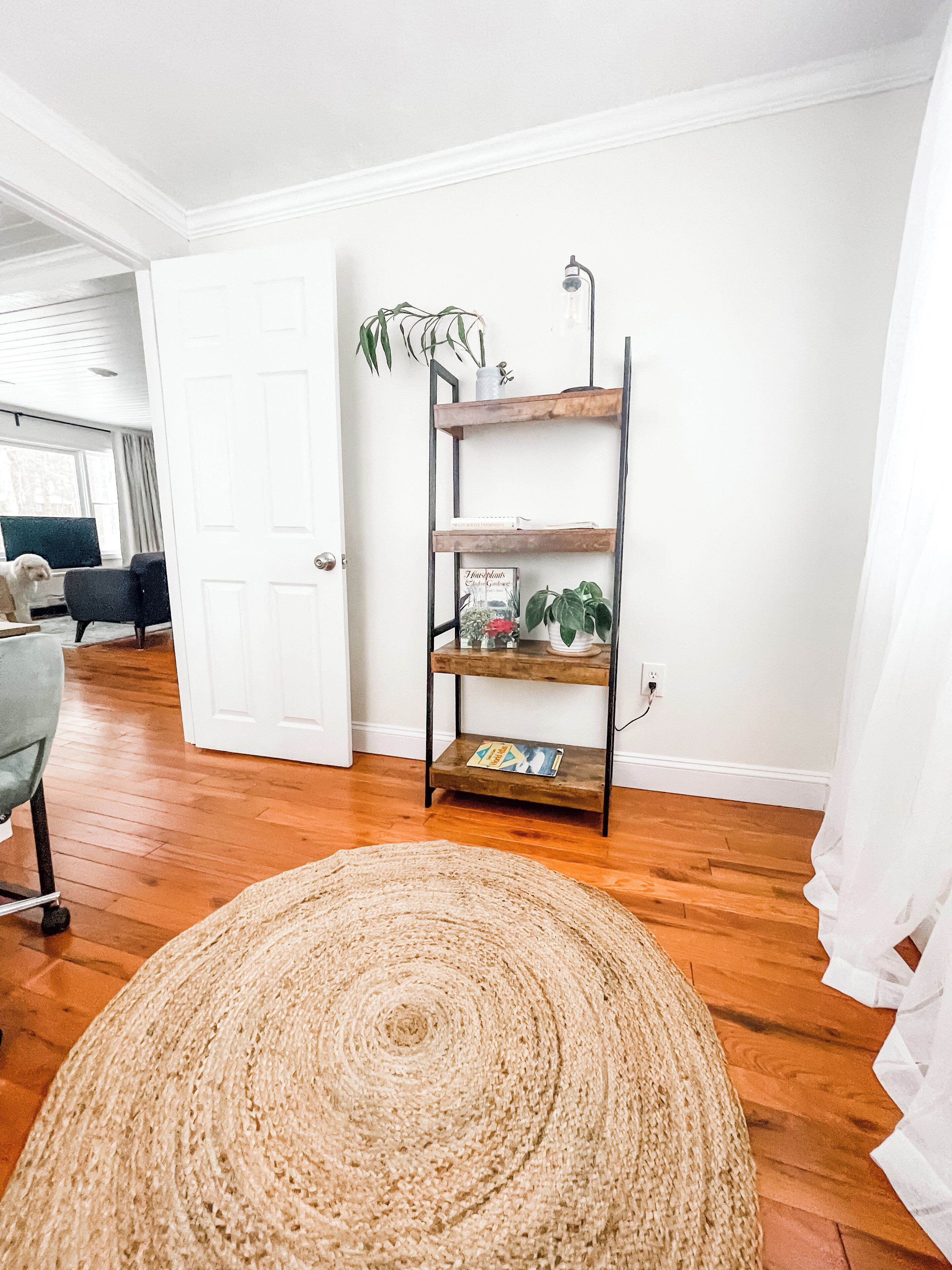 A living room with a wooden floor, a woven rug, a metal shelf with plants, and a door leading to another room.
