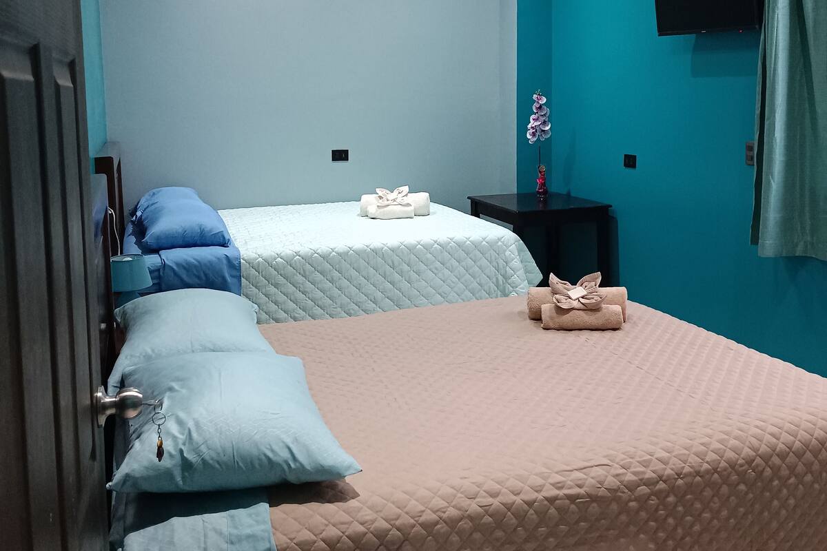 Une chambre avec deux lits, un ventilateur de plafond, une télévision et une porte.