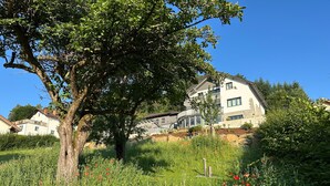 A house with a large tree in front, surrounded by a garden with various plants and flowers.