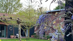 A garden with a brick building, a small tree, and a well-maintained lawn. - Holiday Apartment DREI at Hof Himmelgrün with Large Garden (Saal)