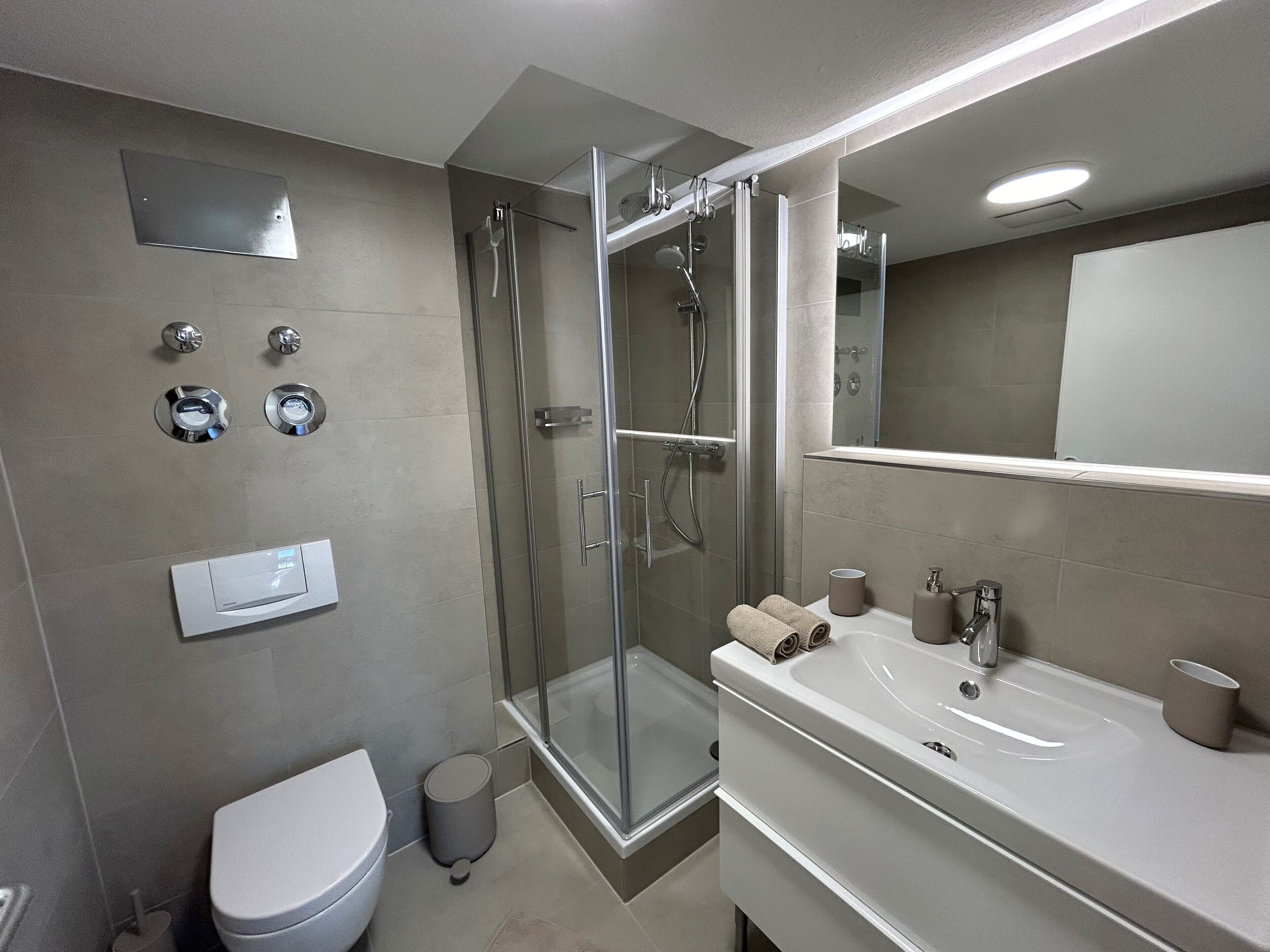 A modern bathroom with a glass-enclosed shower, a toilet, a sink with a mirror, and a wall-mounted heater.