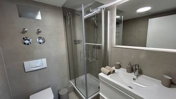 A modern bathroom with a glass-enclosed shower, a toilet, a sink with a mirror, and a wall-mounted heater.