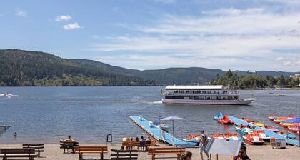 Holiday Apartment "Herzlicht" with Hochschwarzwald Card