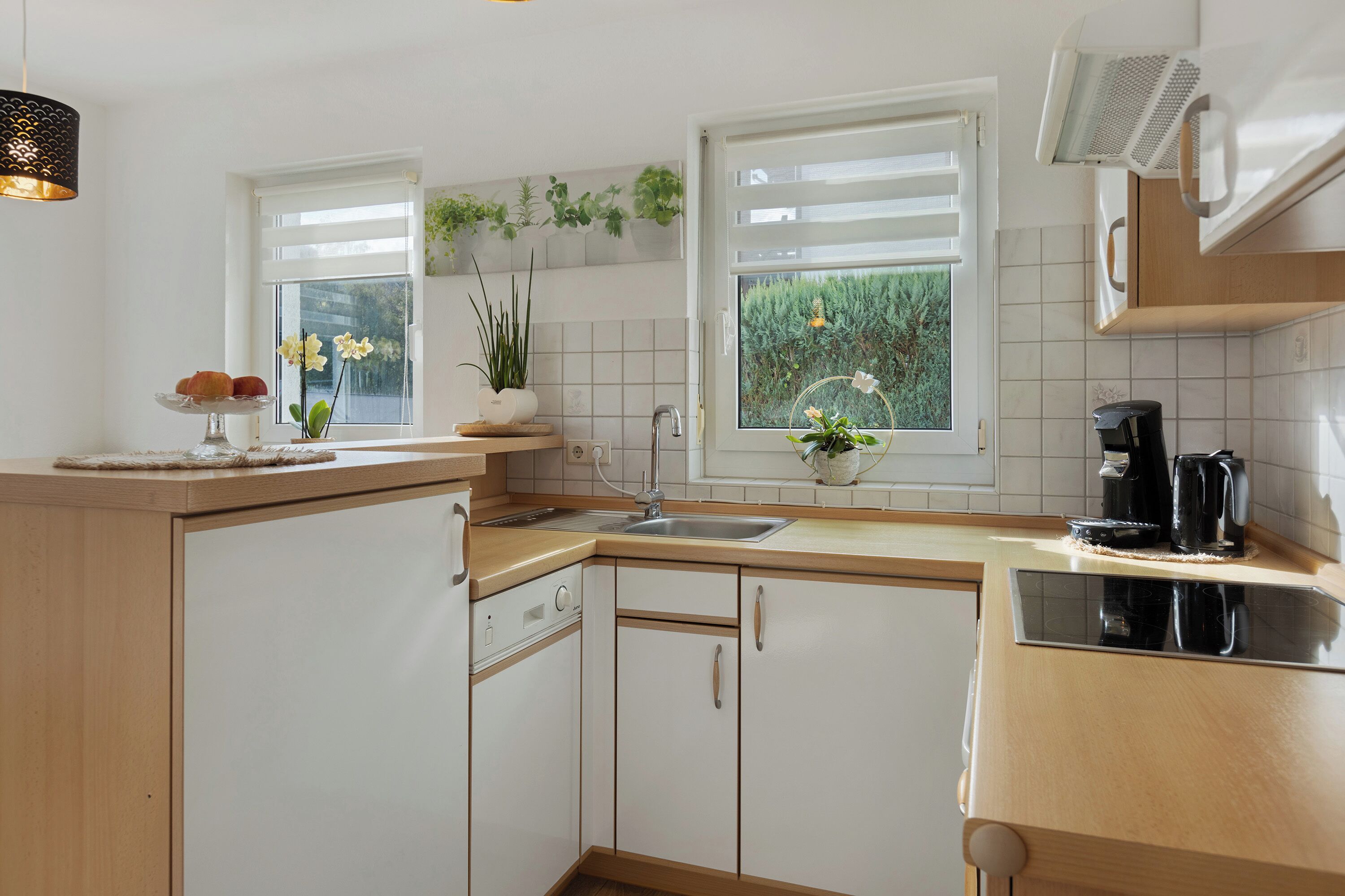 Kühlschrank, Ofen, Herdplatte, Geschirrspüler