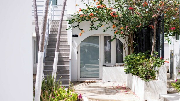 A narrow pathway leading to a white building with a glass door, surrounded by potted plants and flowering shrubs. - La Mona Suites 2 Bedroom Family Apartment (San Juan)