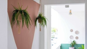 A hallway with hanging plants, a pink wall, and a view into another room with a green wall and a white door. - La Mona Suites 2 Bedroom Family Apartment (San Juan)