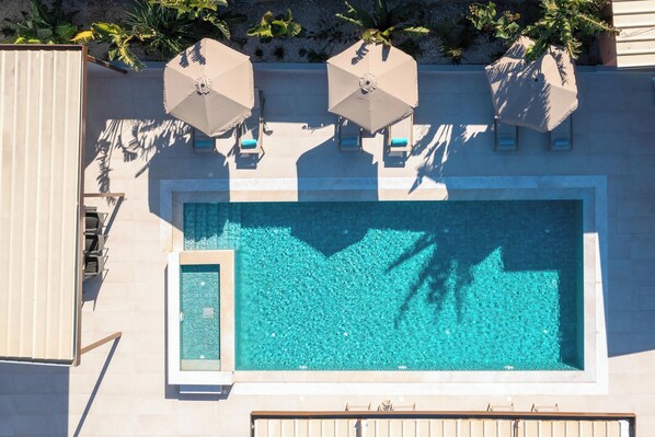 A rooftop pool with lounge chairs and umbrellas, surrounded by palm trees and a clear blue pool.