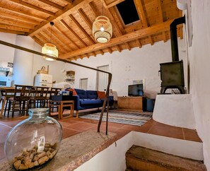 TV connectée, cheminée, lecteur de DVD, livres