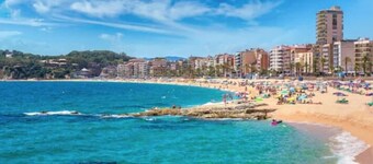 Golondrinas de Malaga