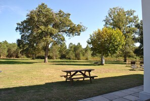 Outdoor dining - Maison en Bordure de Forêt Proche Contis (Saint-Julien-en-Born)