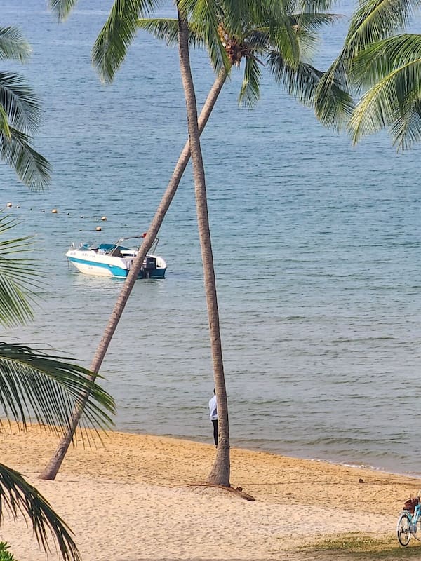 On the beach, sun-loungers, beach umbrellas, beach towels