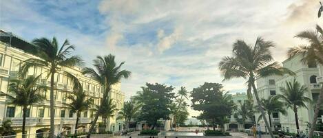 A swimming pool surrounded by palm trees and buildings.