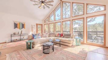 TV, fireplace, books, offices