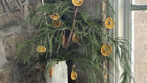 Taula de menjador rústica amb estovell blanc, una planta en test, una teiera i un plat amb una rodana de taronja.