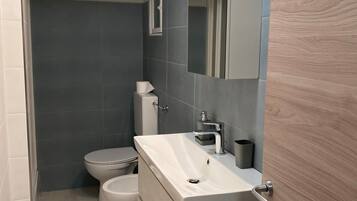 Shower, hair dryer, bidet, towels