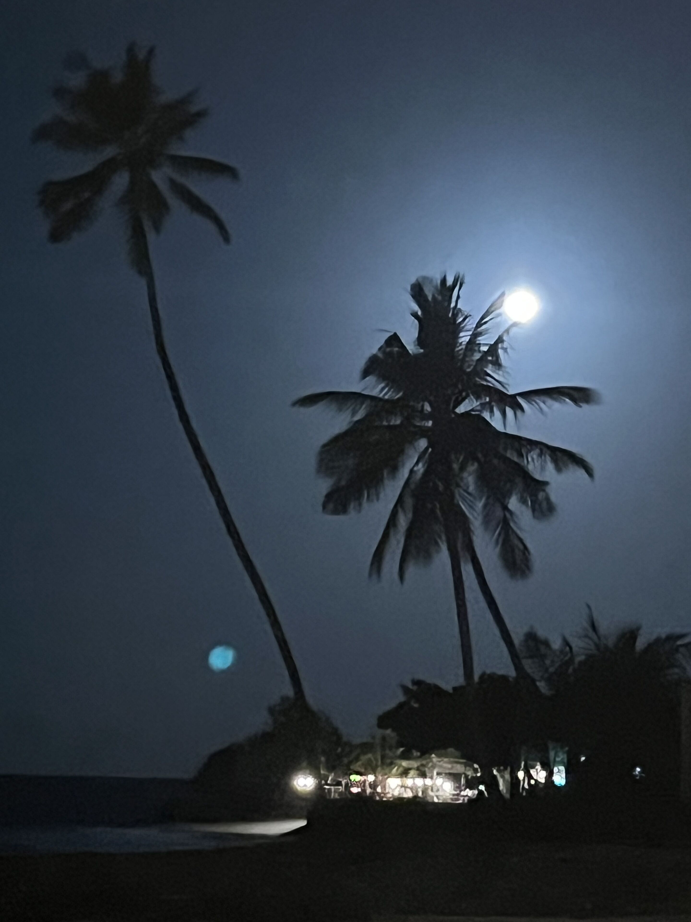 A beach scene with palm trees and a building with lights at night.