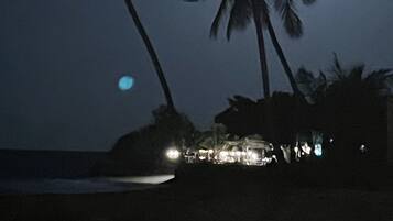 A beach scene with palm trees and a building with lights at night.