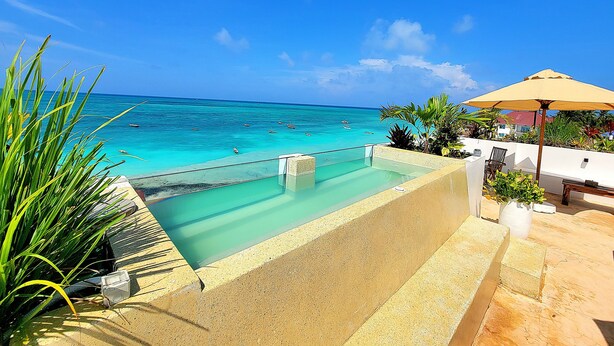 A pool with a view of the ocean, a lounge area with a chair and umbrella, and a potted plant. - Aluna Beach Apartments (Nungwi)