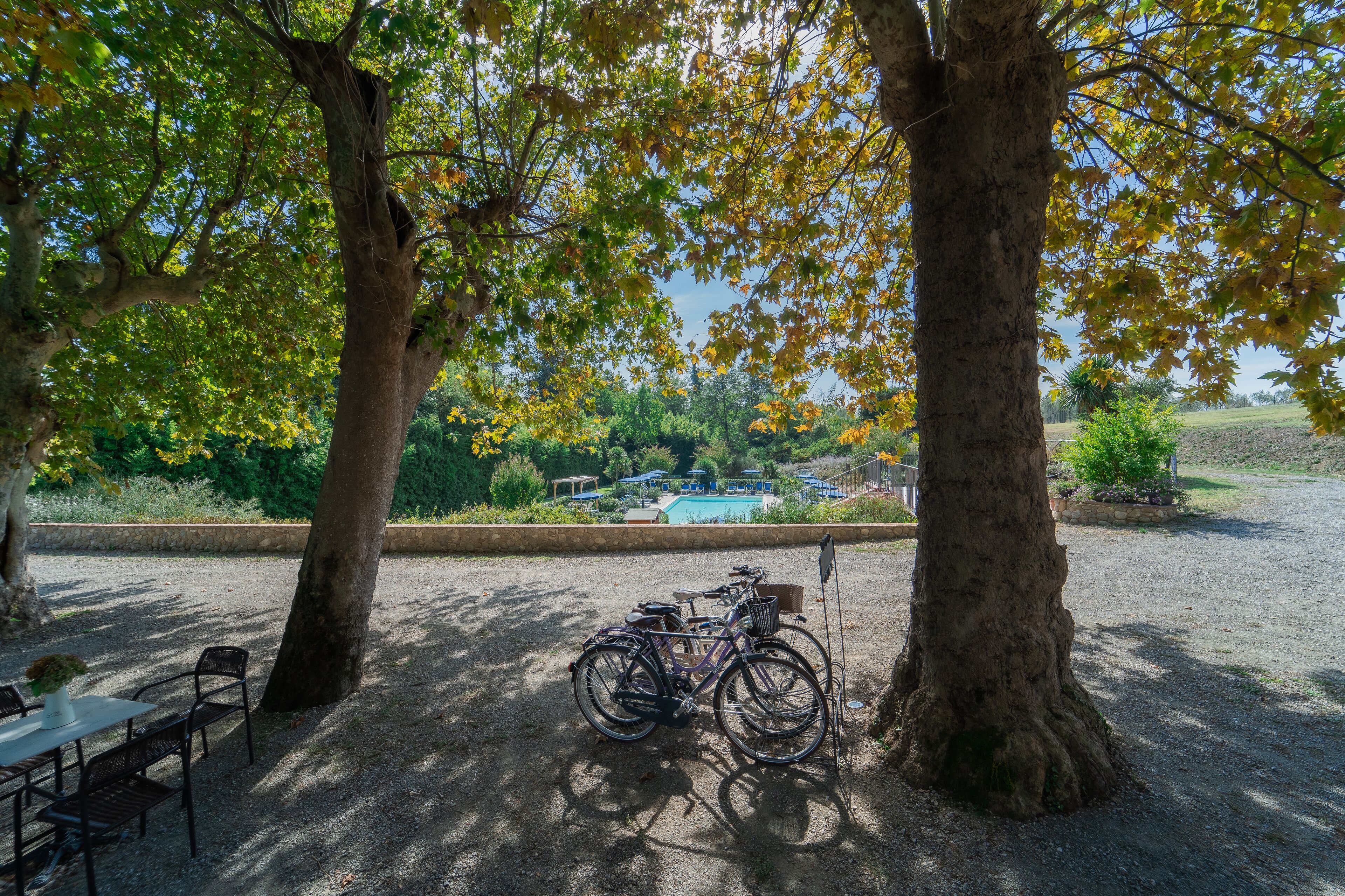 Giardino
