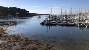 Un puerto deportivo con numerosas embarcaciones amarradas, agua tranquila y una orilla con vegetación.
