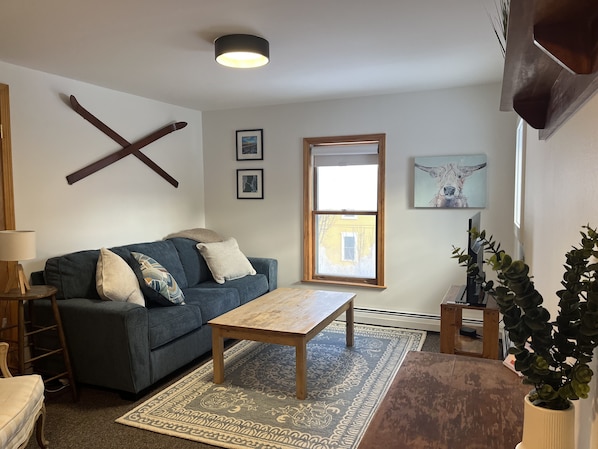 Living area - Ideal location, monthly rental in the heart of Richmond, 15min to Burlington (Richmond)