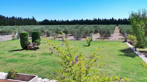 Un jardín bien cuidado con diversas plantas y un muro de piedra.