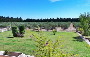 Property grounds - Amazing home in Maussane Les Alpilles (Maussane Les Alpilles)