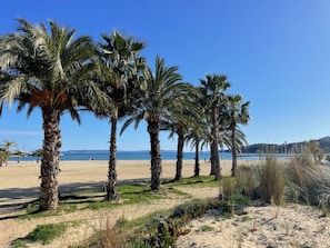 A beach with palm trees and a clear blue sky. - Airy 1BR Apt - AC, Loggia, Parking - Heart of La Favière (Bormes-les-Mimosas)