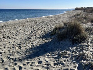 Ein sandiger Strand mit Fußspuren und vereinzelter Vegetation.