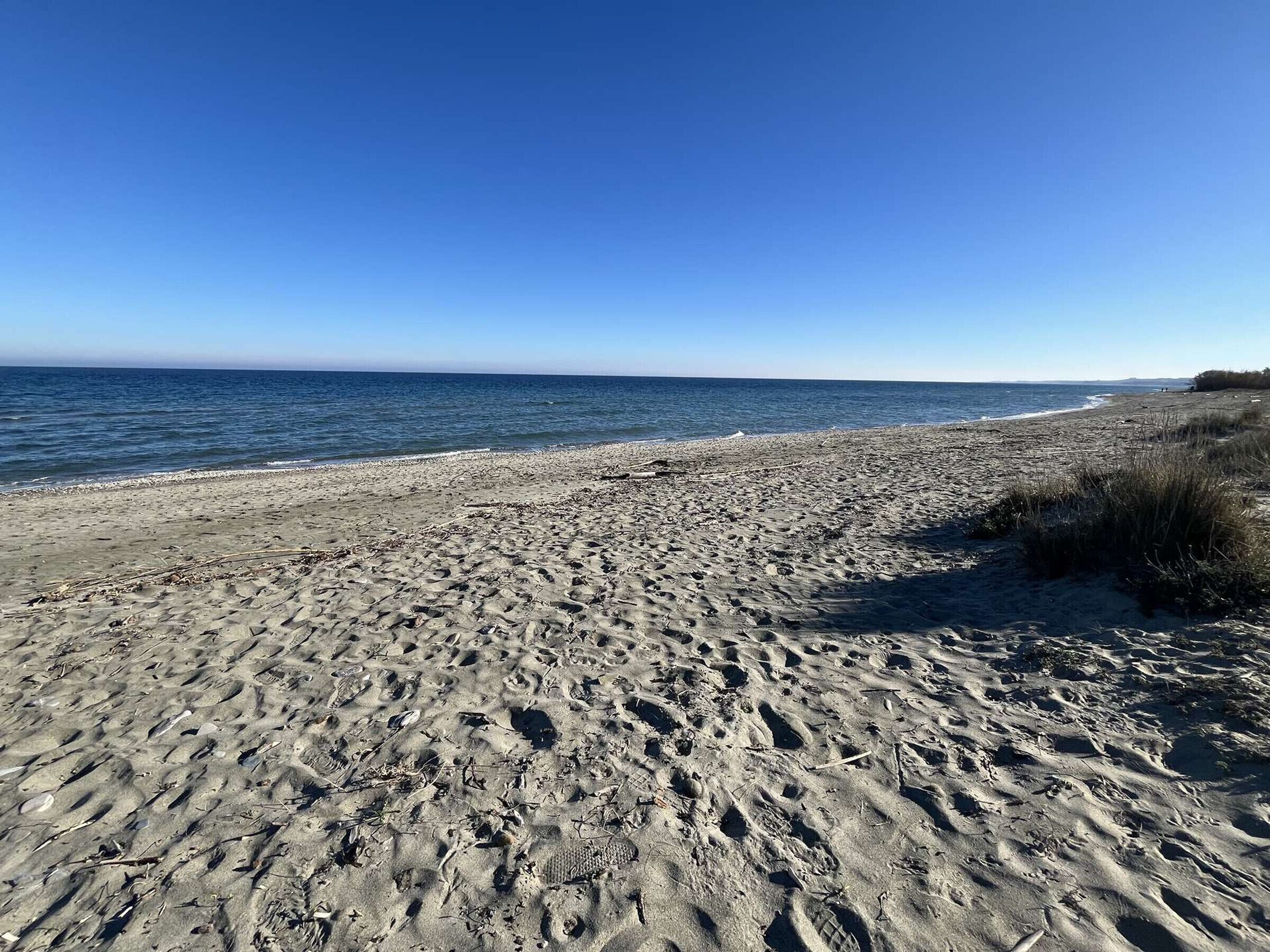 A sandy beach with footprints and sparse vegetation.