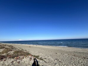 Plage à proximité