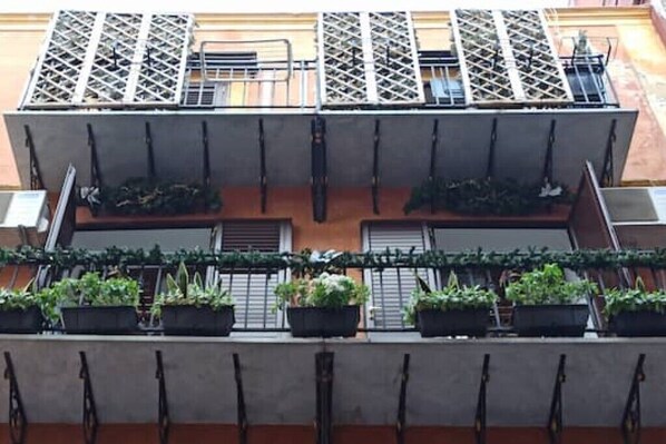 A building with a balcony featuring multiple planters with greenery.