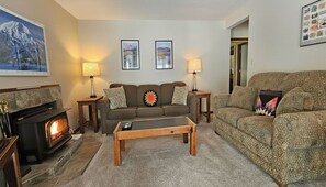 TV, fireplace