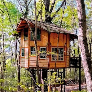 Exterior - Treehouse Resort ~Dog Friendly~18-hole disc golf (Copperhill)