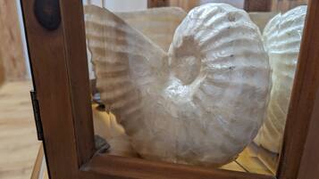 A wooden-framed display case containing a translucent, wing-shaped object.